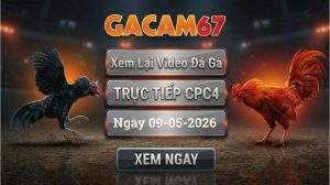 Xem Lại Video Đá Gà CPC4 Ngày 09/05/2026