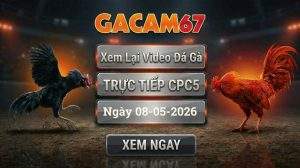 Xem Lại Video Đá Gà CPC5 Ngày 08/05/2026