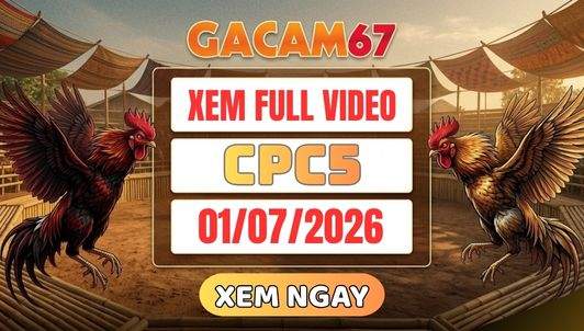 Xem Lại Video Đá Gà CPC5 Ngày 01/07/2026 Tại GACAM67